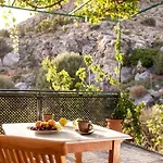 σκίνος