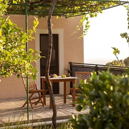 σκίνος Panormos (Kalymnos)