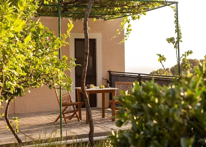 σκίνος Panormos (Kalymnos)