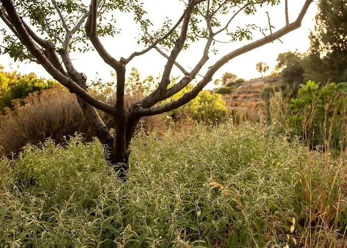 Ferienhaus σκίνος