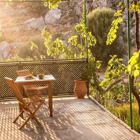 Ferienhaus σκίνος