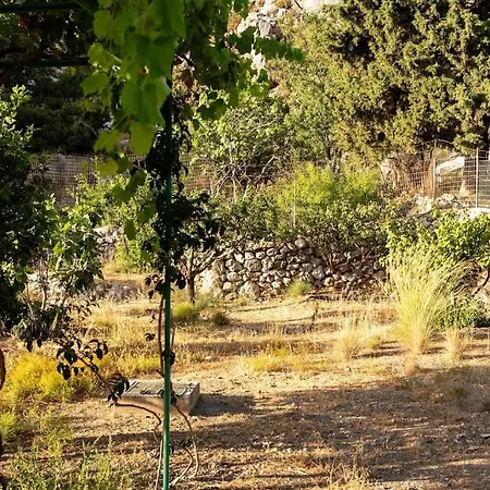 σκίνος Ferienhaus